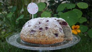 Annibackt Geburtstagskuchen