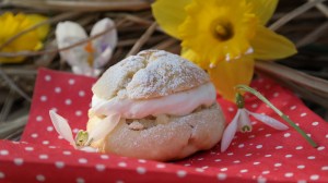 Süßes Frühlingserwachen