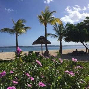 Gestrandet im Paradies.