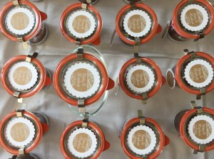 Törtchen im Weckglas