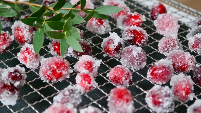 Gezuckerte Cranberries