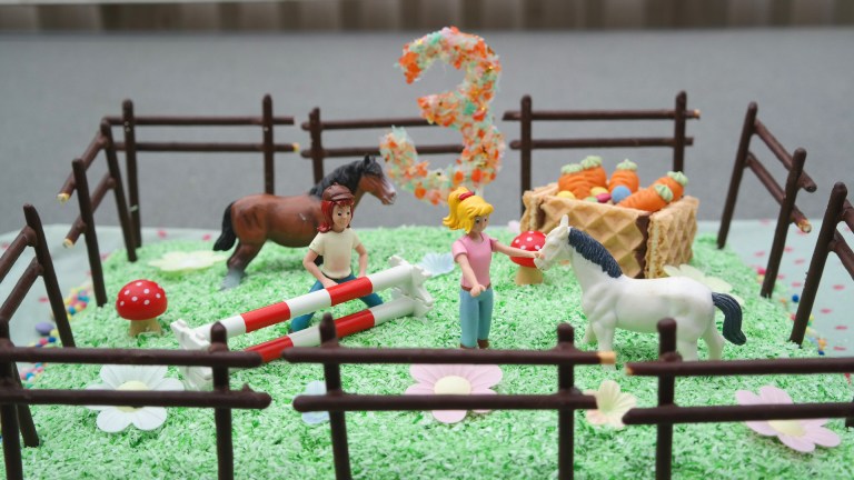 Bibi und Tina Kuchen