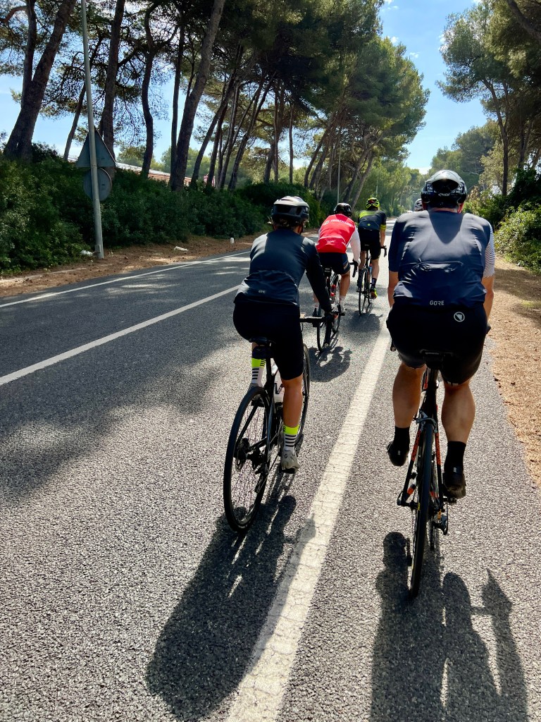 Hannover 96 Triathlon